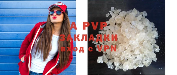 сатива Вяземский