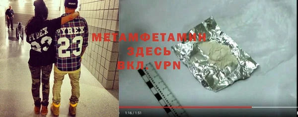 сатива Вяземский