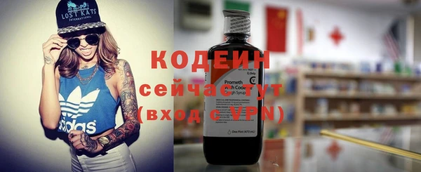 сатива Вяземский