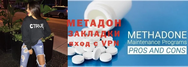сатива Горняк