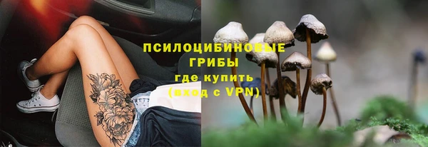 сатива Вяземский