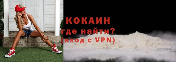 сатива Вяземский