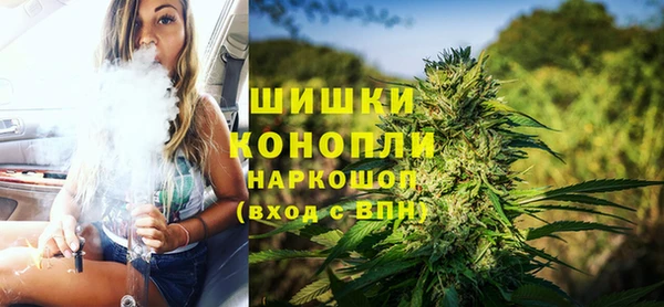 сатива Вяземский