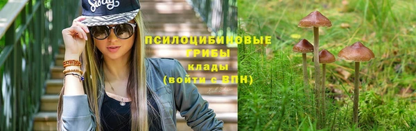 jwh Вязьма